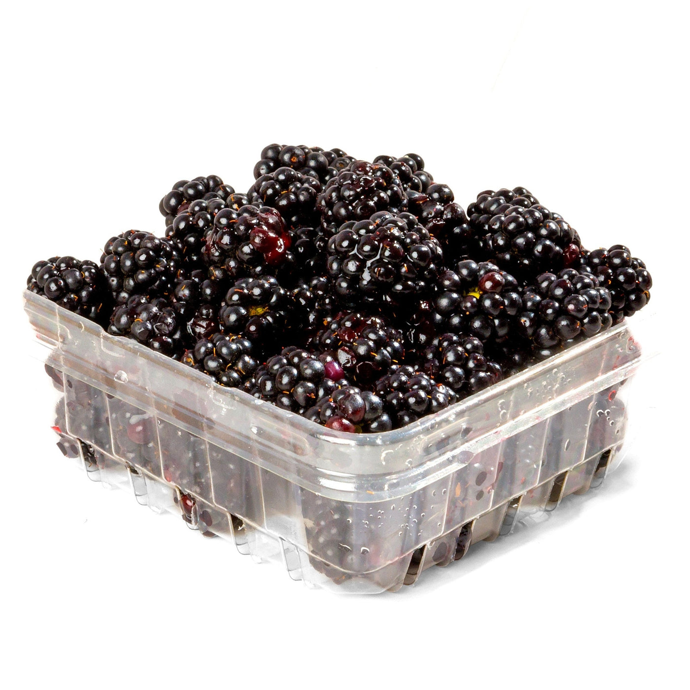 Quebec Blackberries