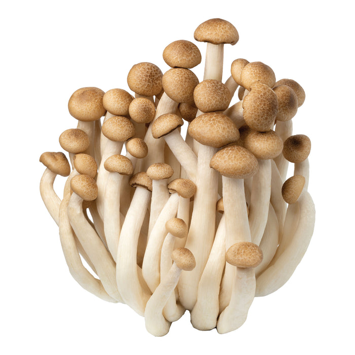 Brown Shimeji Mushrooms