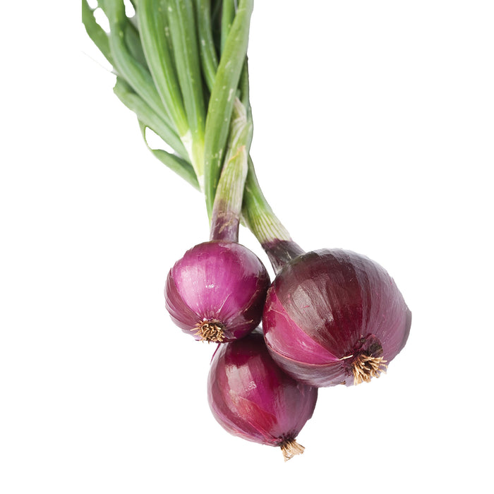 Fresh Red Onions