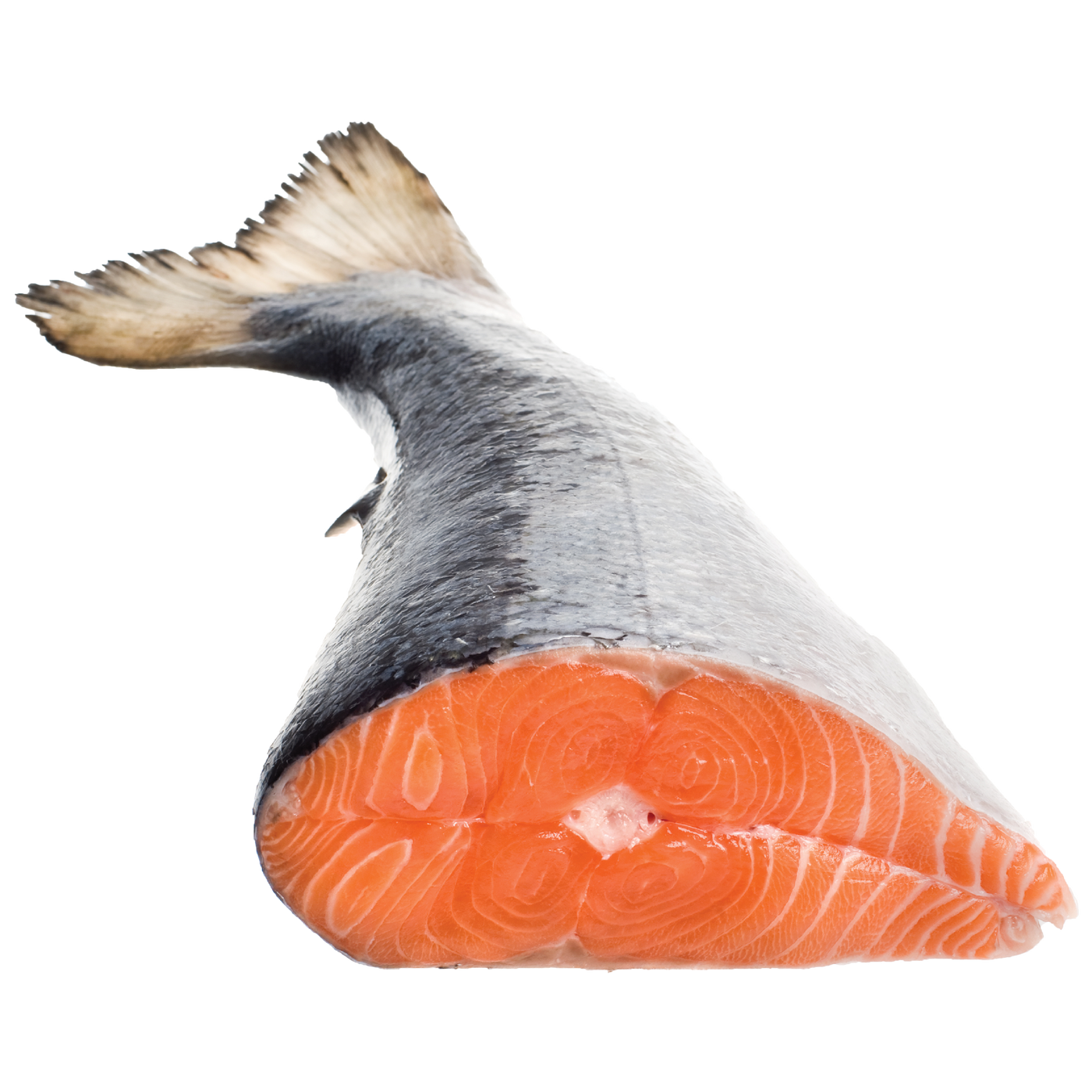 Fresh Whole Atlantic Salmon