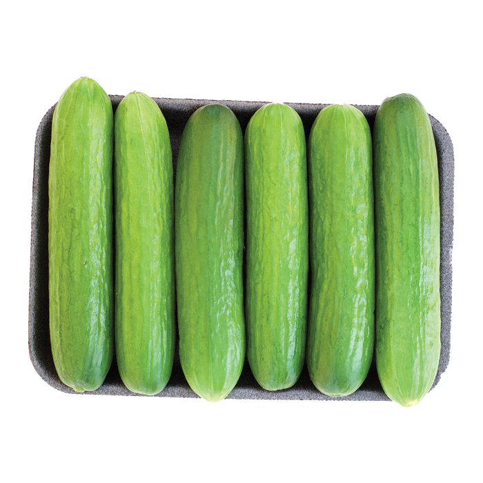 Lebanese Cucumbers
