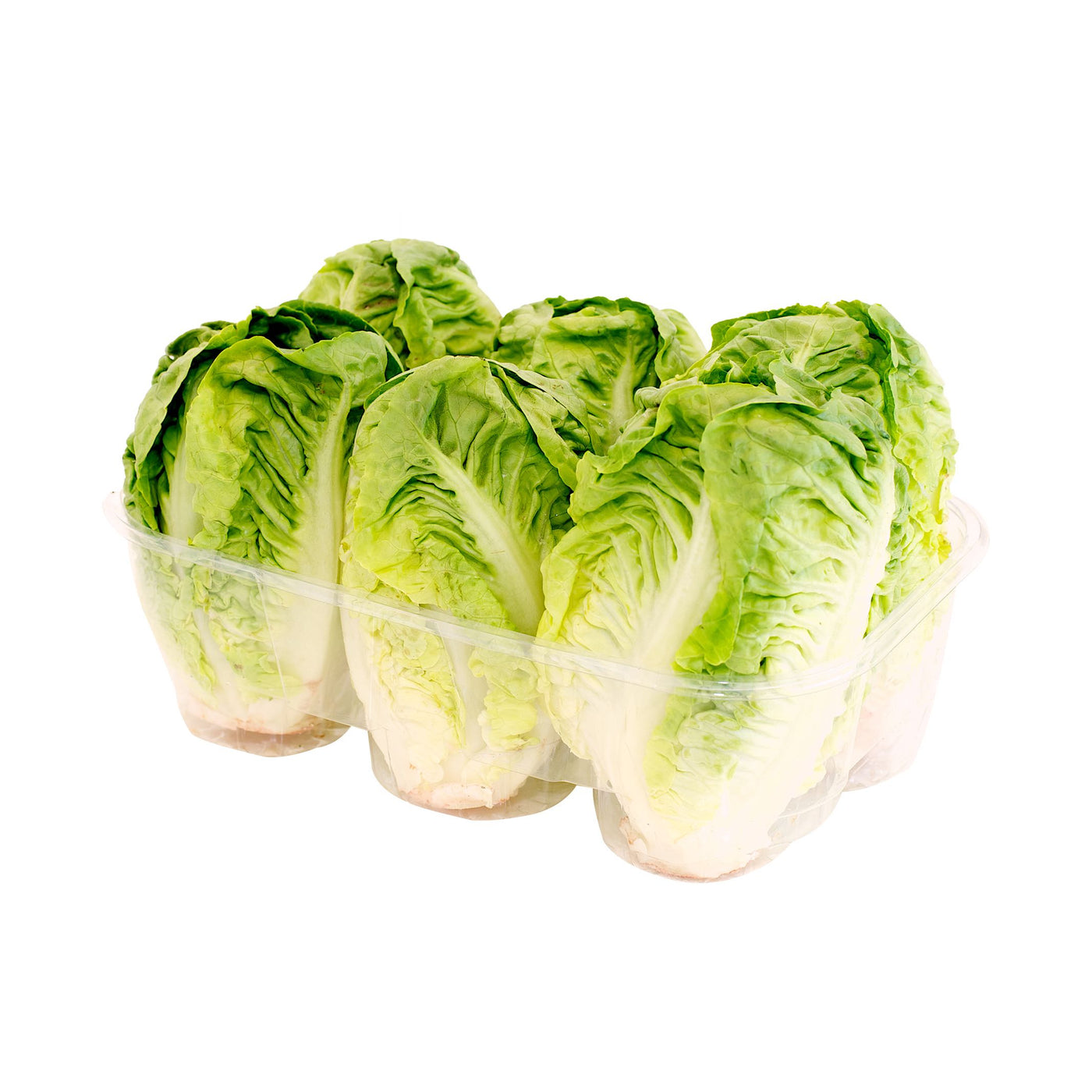 Romaine Lettuce