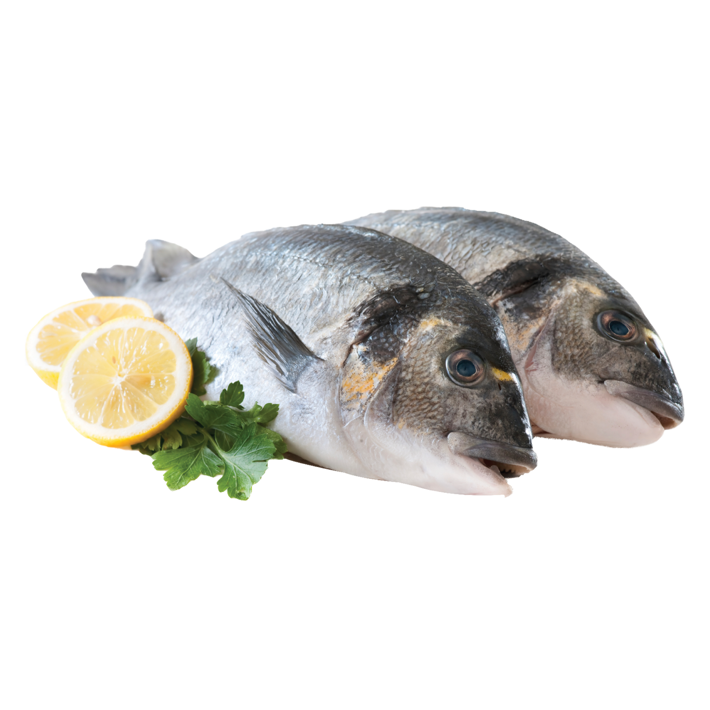 Fresh Cleaned Mediterranean Porgies