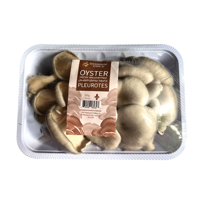 Oyster Mushrooms