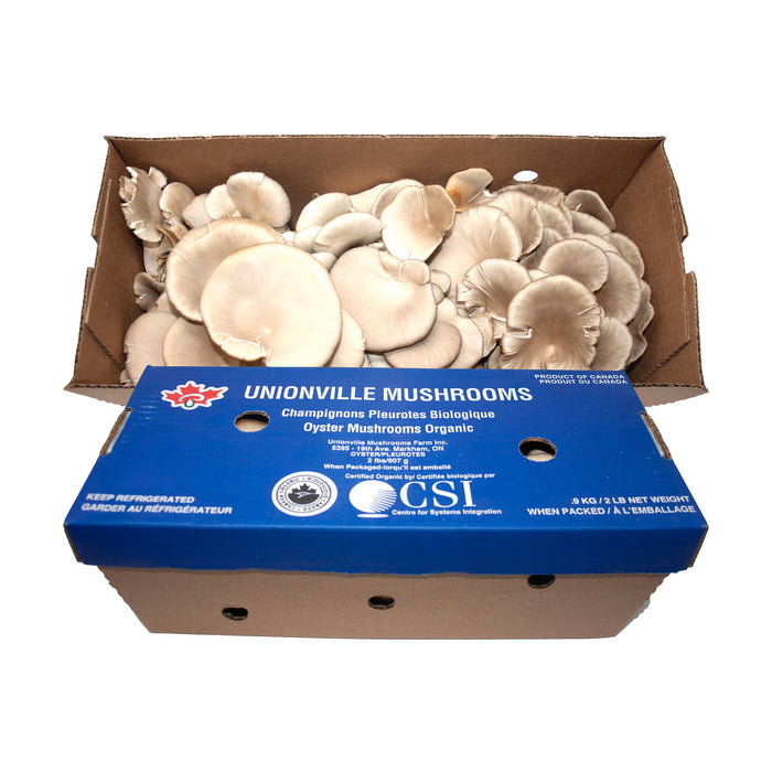 Oyster Mushrooms