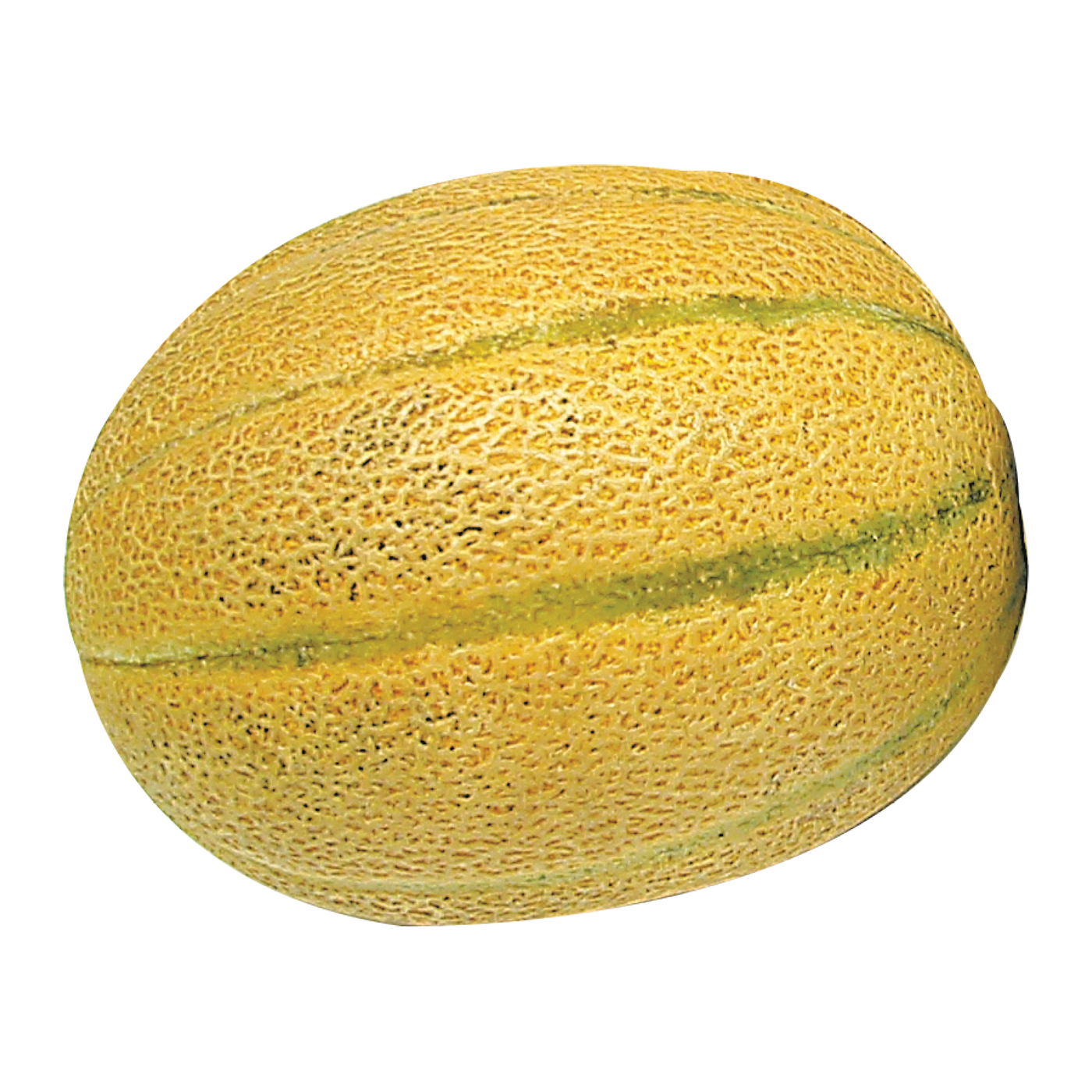 Québec Cantaloupe