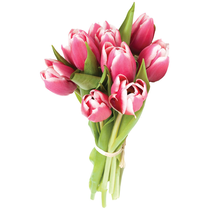 Bouquet of Tulipes