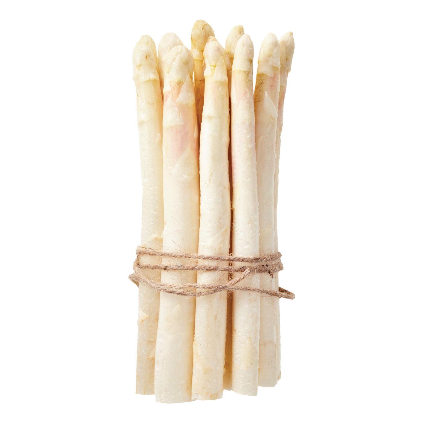 White Asparagus