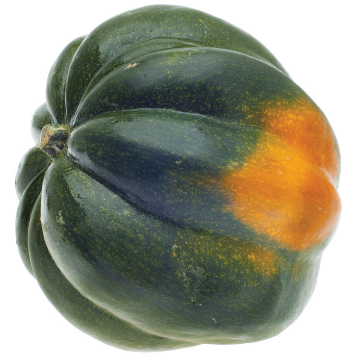 Acorn Squash