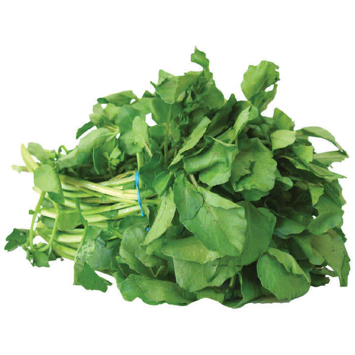 Arugula