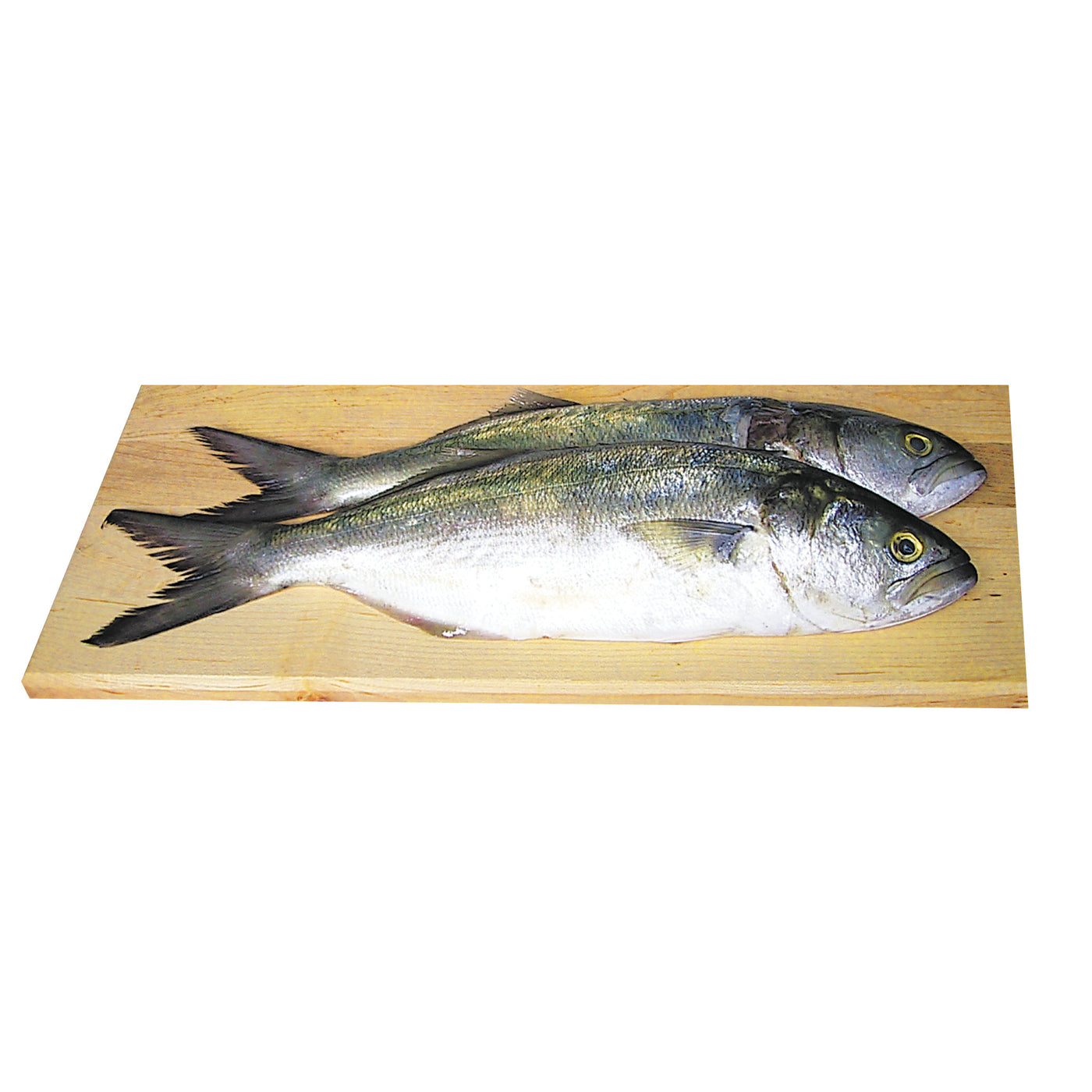 Whole Bluefish
