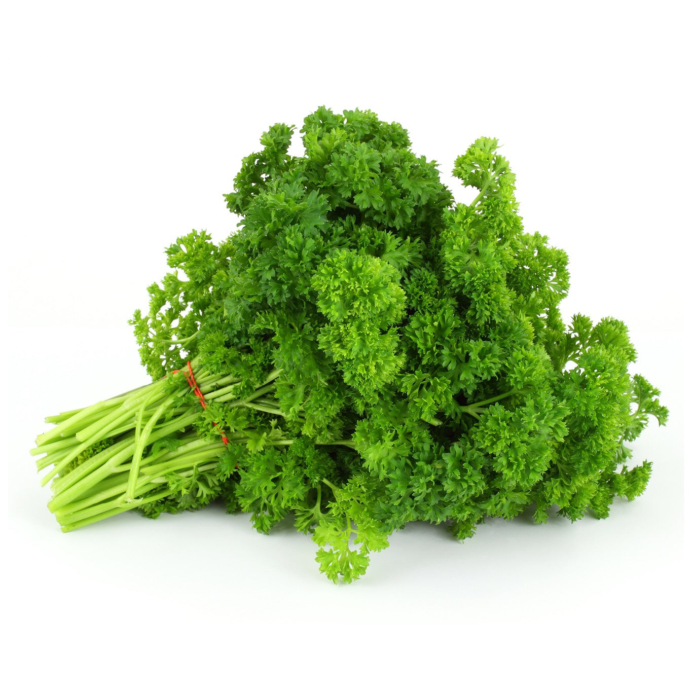 Canadian (Curly) Parsley