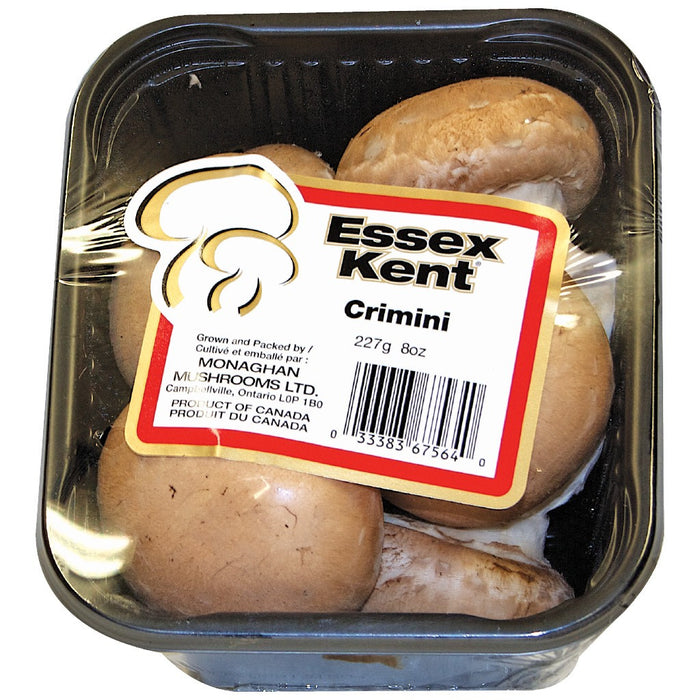 Crimini Mushrooms (Coffee)
