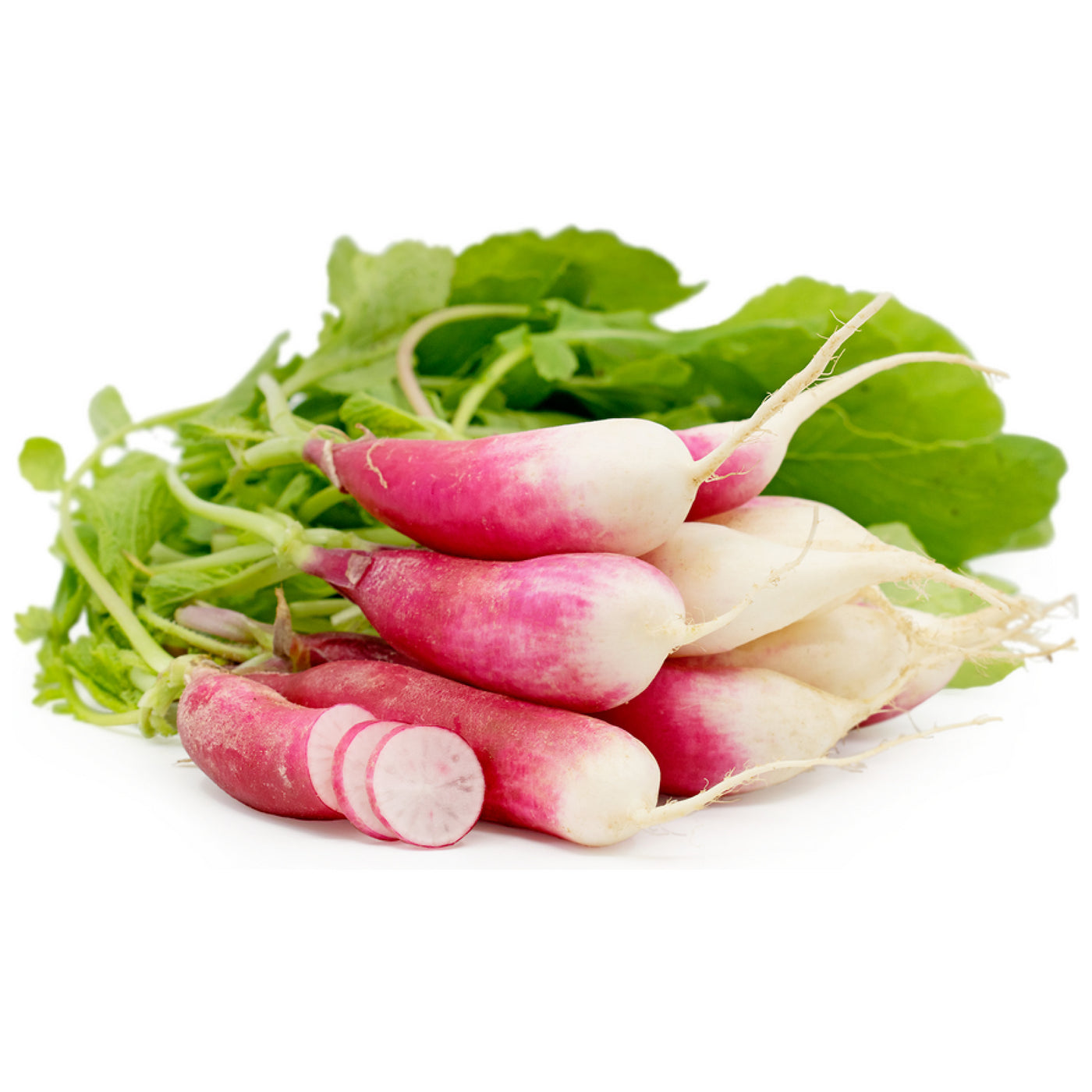 French Radish