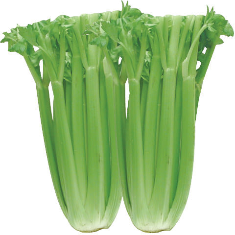 Organic Celery