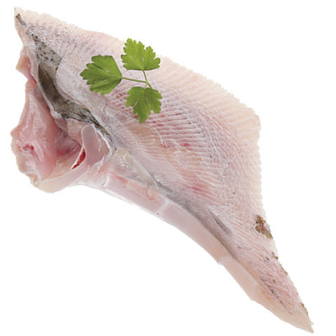 Fresh Cleaned Skate Wings