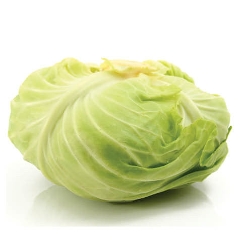 Organic Green Cabbage