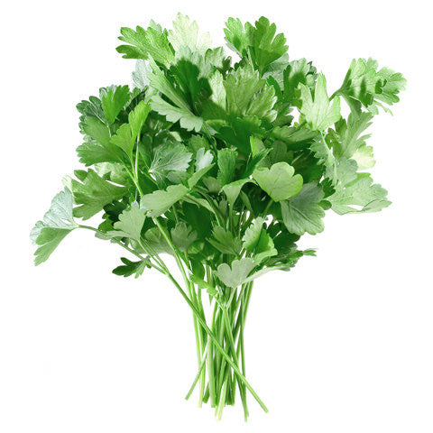 Organic Italian Parsley