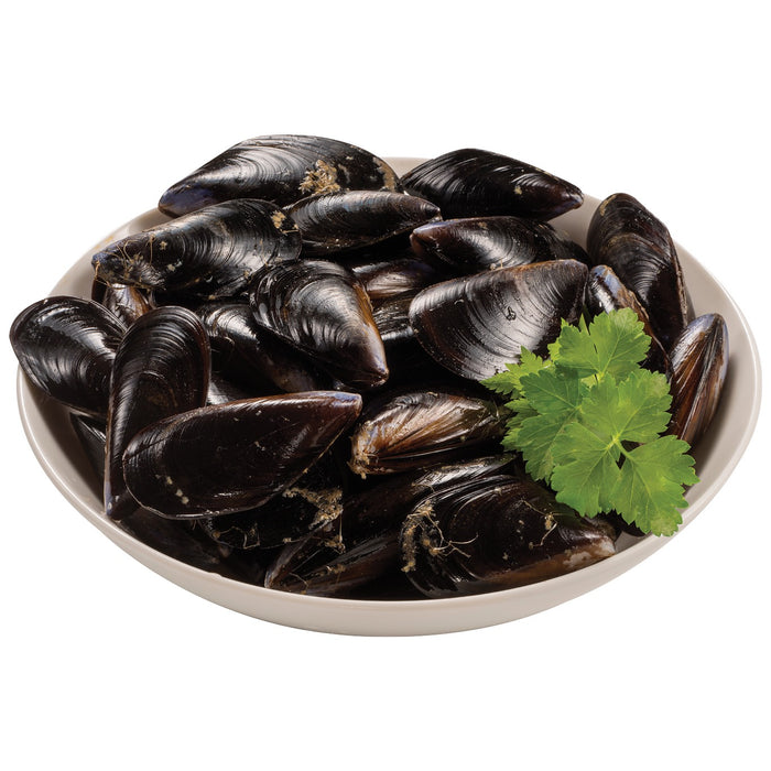 Cultivated Mussels