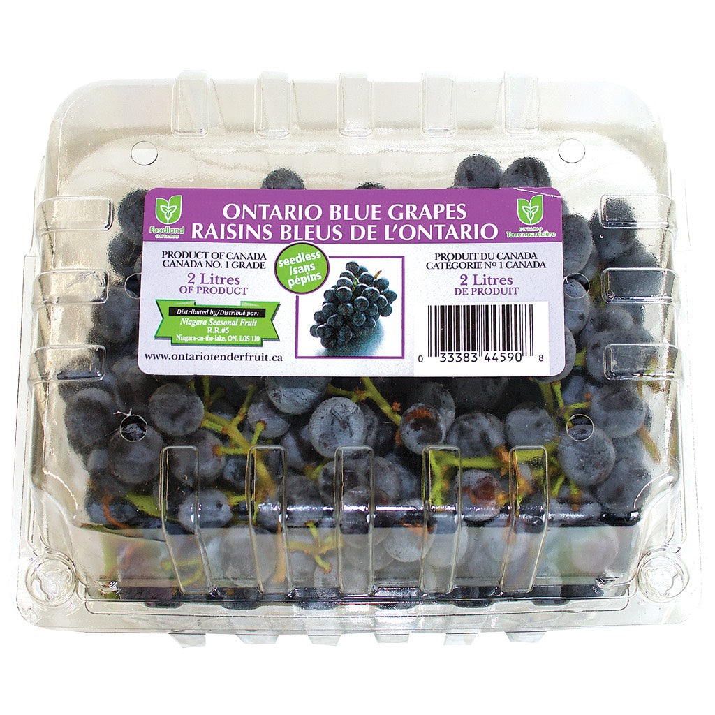 Ontario Blue Grapes