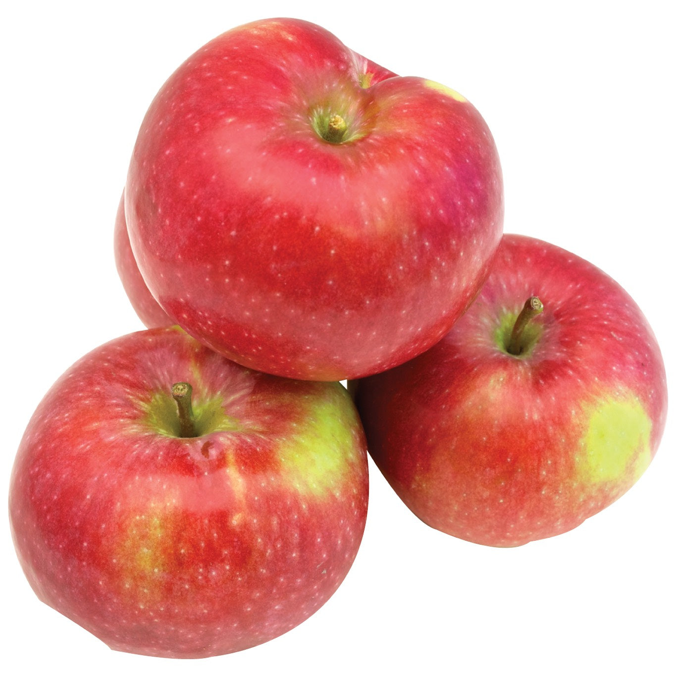Paula Red Apples