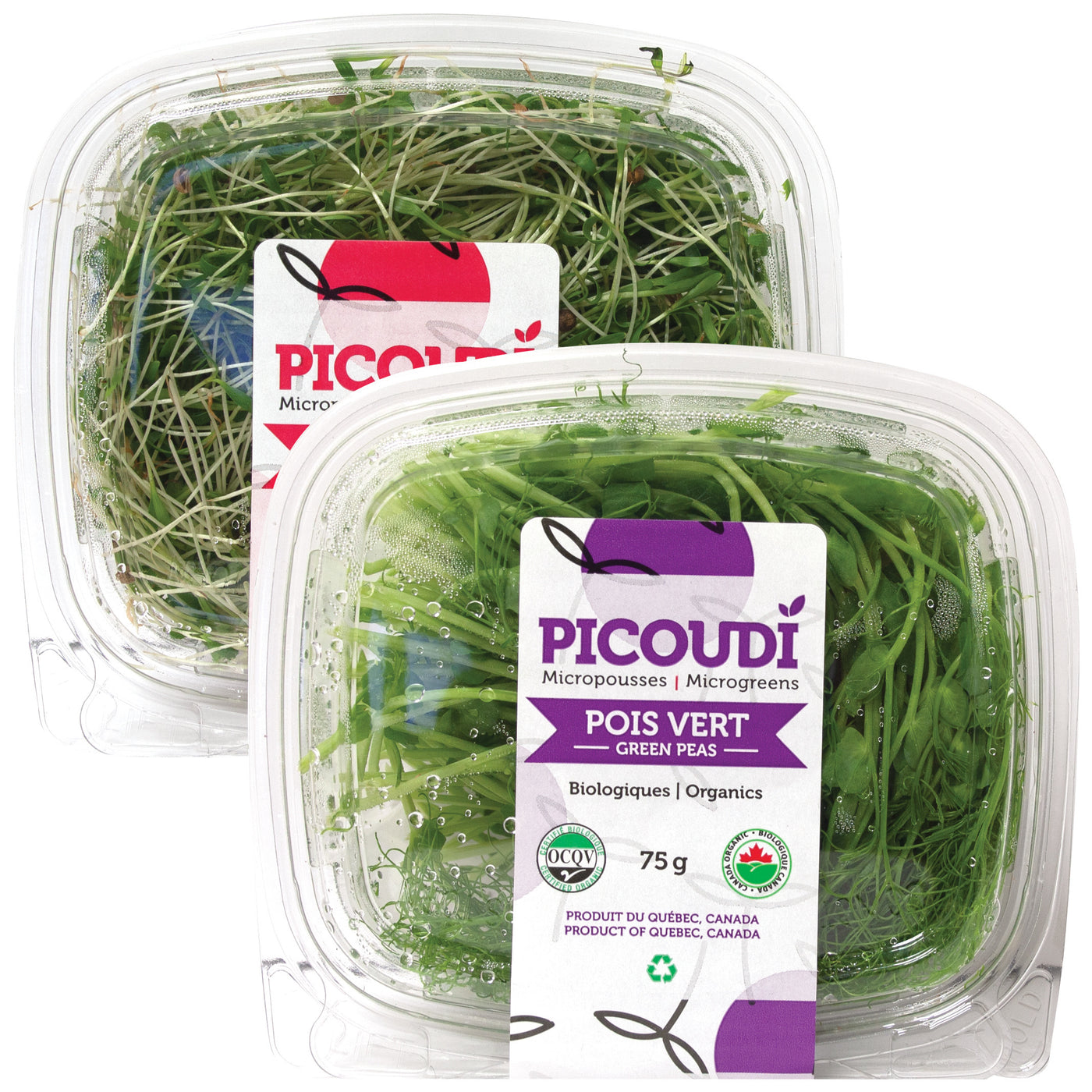 Organic Microgreens