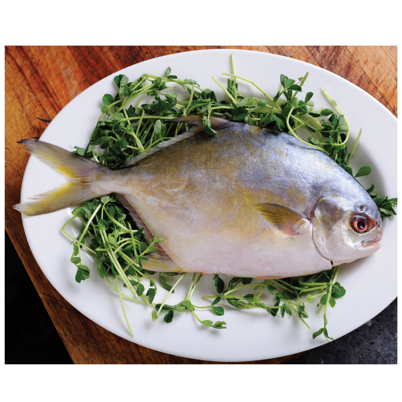 Thawed Pompano Fish