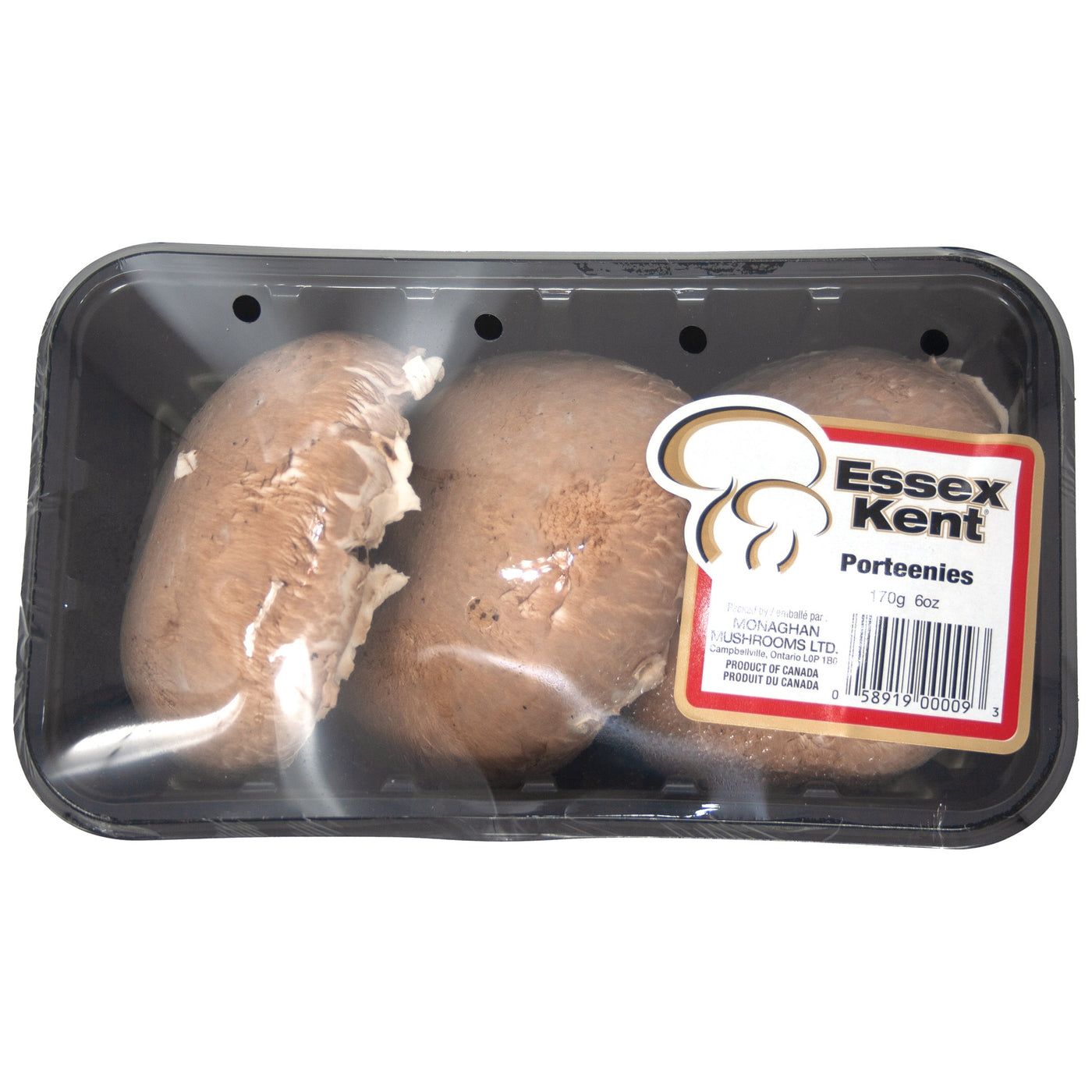 Porteenies Mushrooms