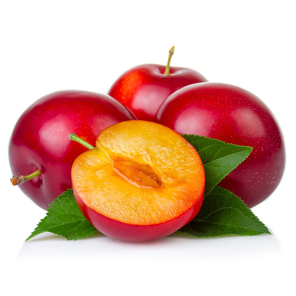 Organic Red Plums