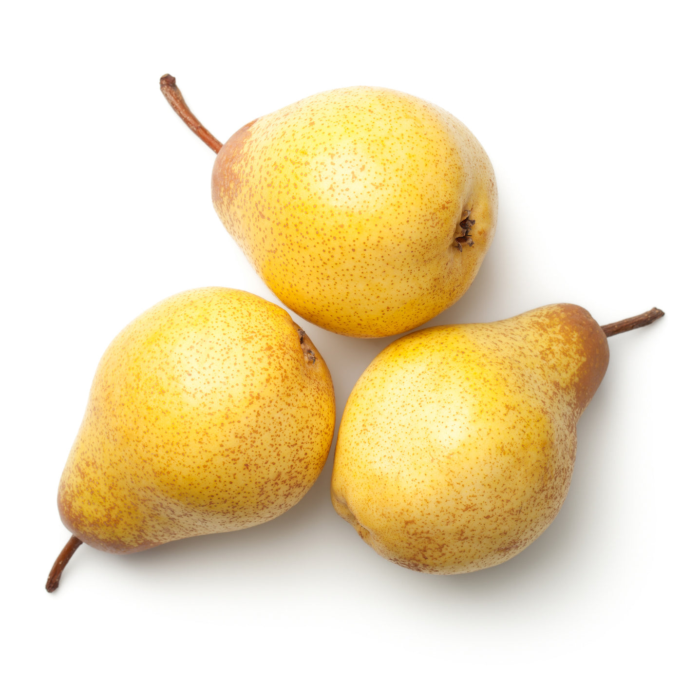 Rocha Pears