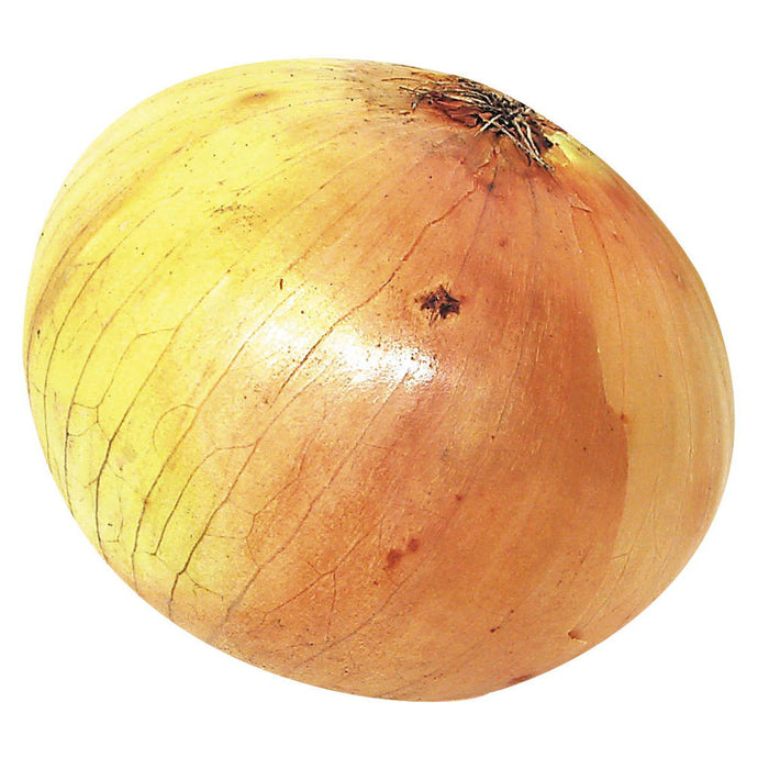 Spanish Onions
