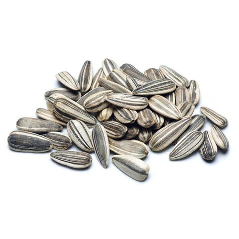 Jumbo Sunflower Seeds