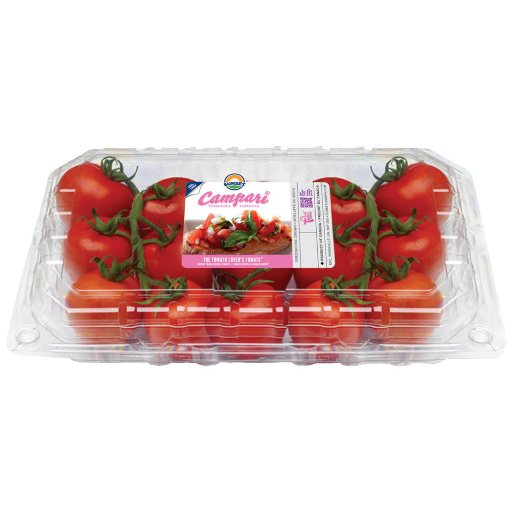 Campari Tomatoes