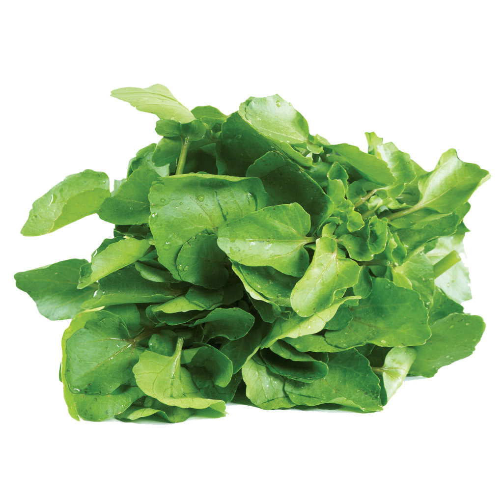 Watercress
