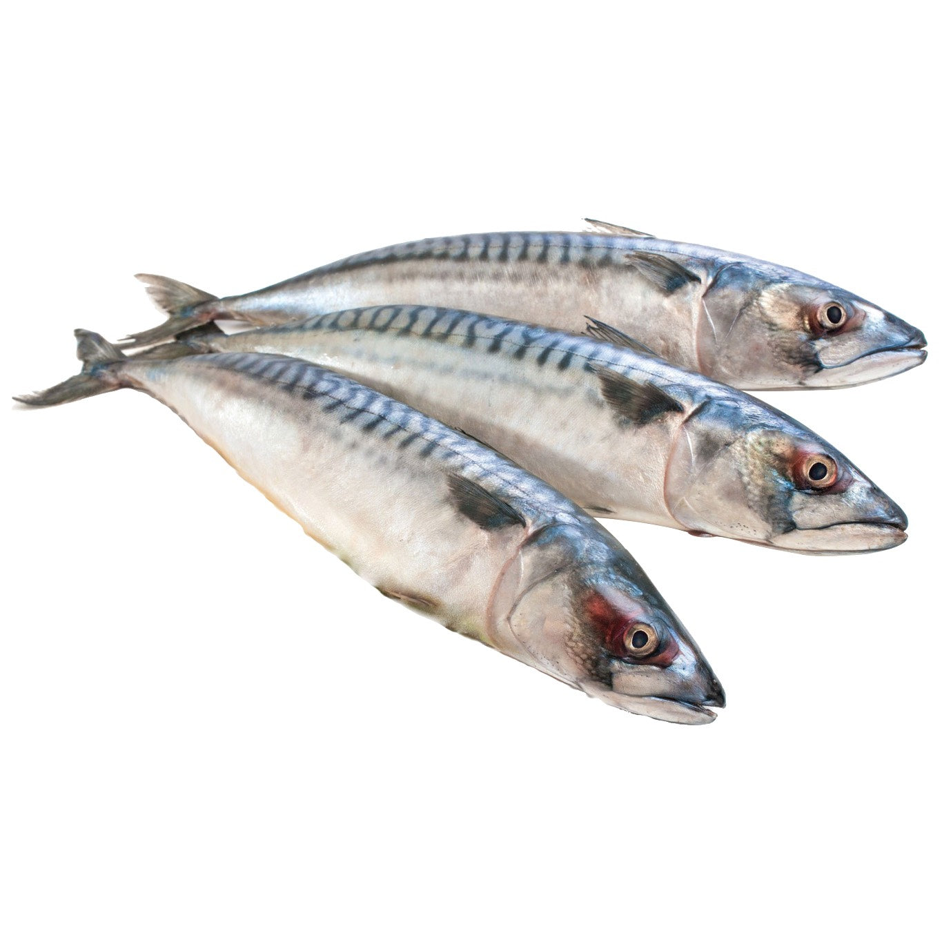 Whole Mackerel