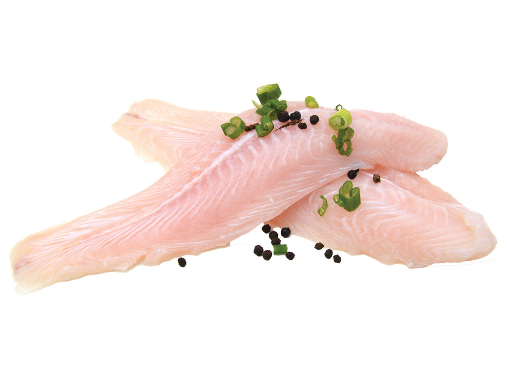Frozen Basa Fillets
