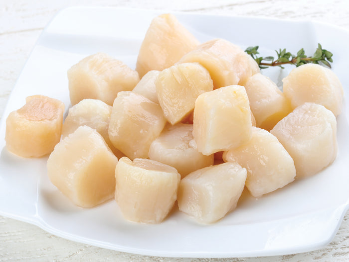 Bay Scallops