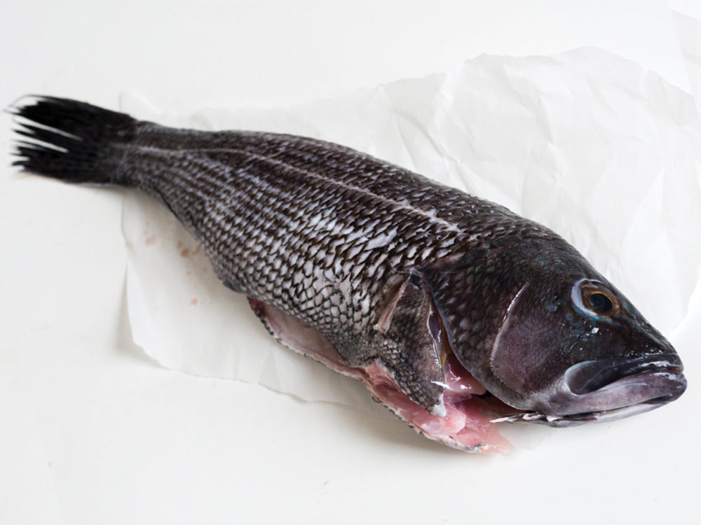 Wild Cleaned Black Sea Bass