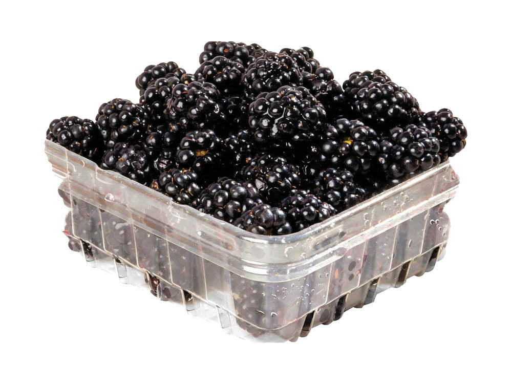 Blackberries