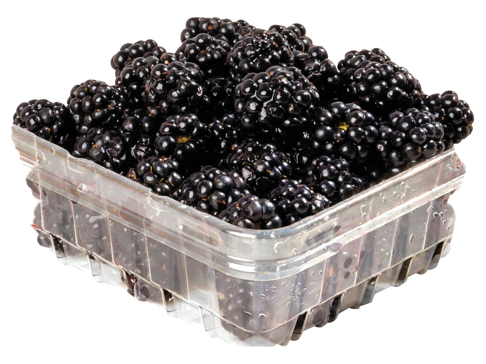 Quebec Blackberries