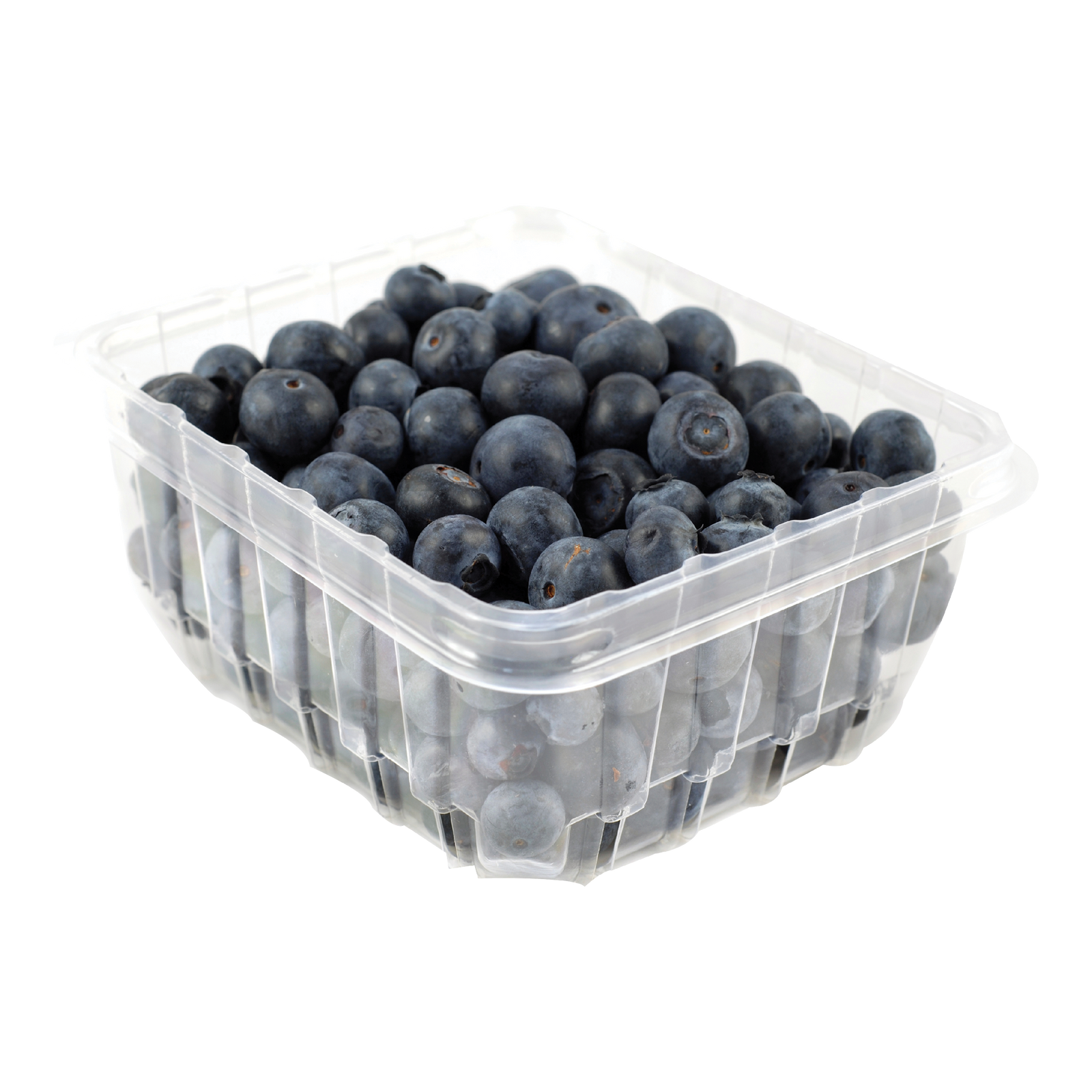 Québec Fresh Blueberries
