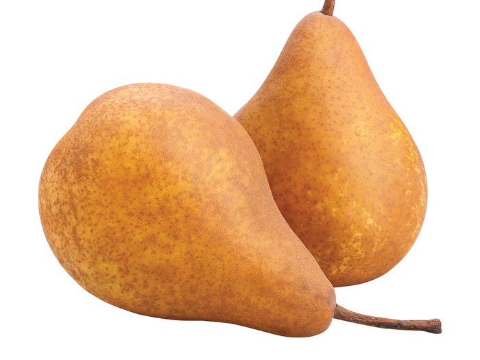 Organic Bosc Pears