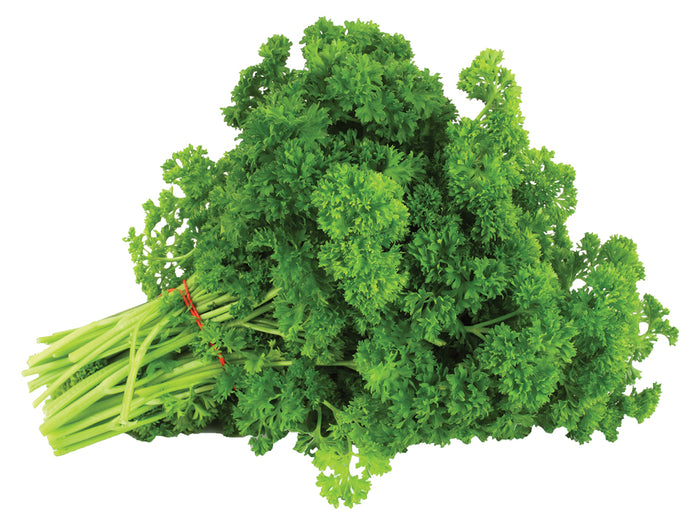 Canadian (Curly) Parsley