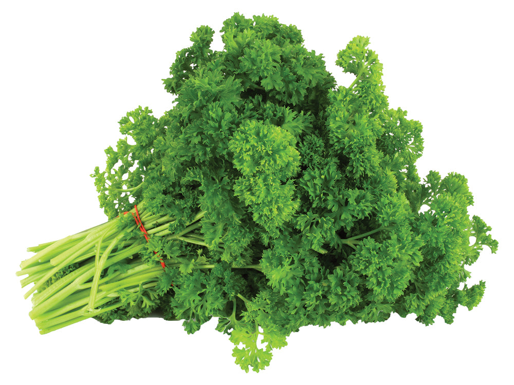 Canadian (Curly) Parsley