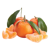 Clementines with Leaves