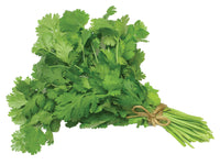 Fresh Coriander