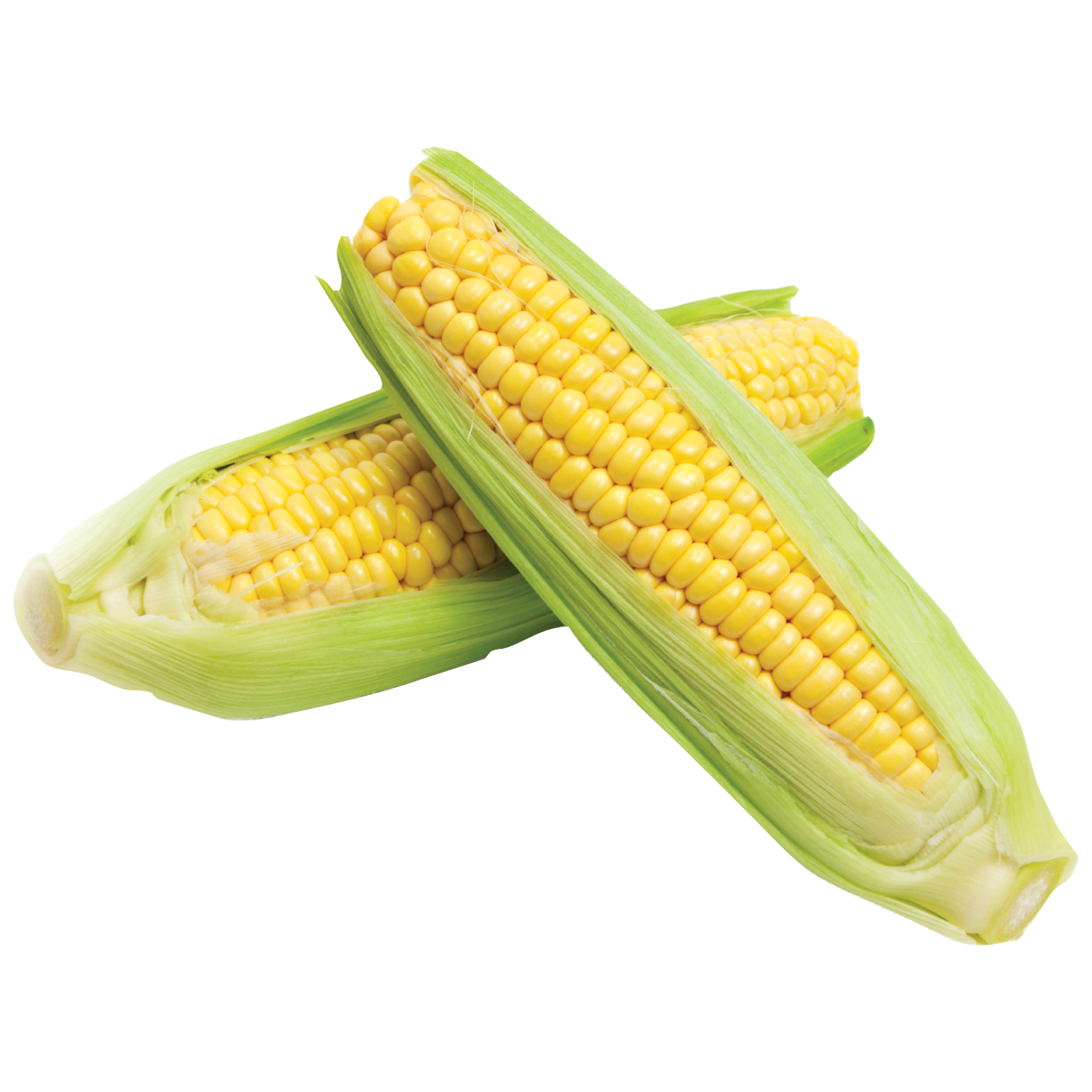 Corncobs