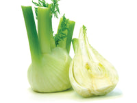 Fennel