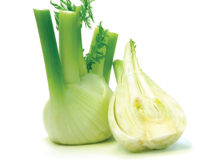 Fennel