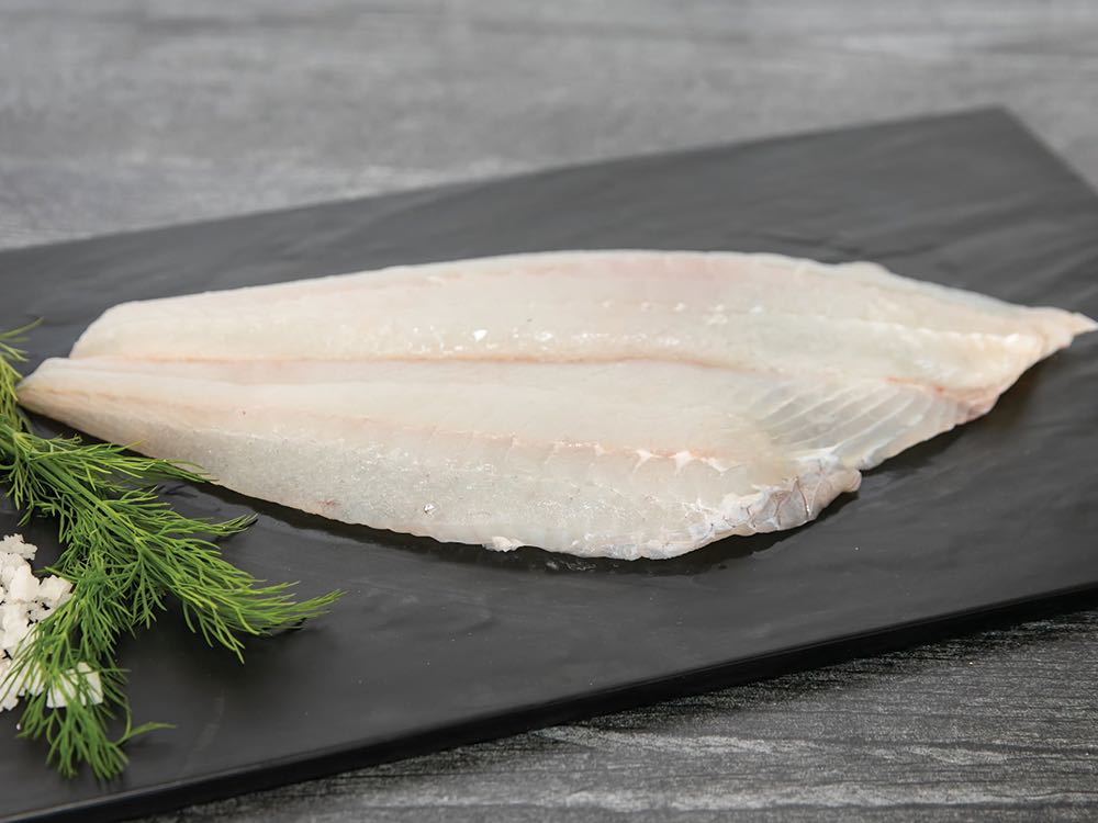 Thawed Spiny Turbot Fillets